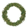 Pre-Lit Northern Pine Artificial Christmas Wreath - 48-Inch, Clear Lights 2 Pre-Lit Northern Pine Artificial Christmas Wreath - 48-Inch, Clear Lights -Christmas Decoration Store northlight z84671 29936.1667533619