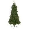 6.5' Pre-Lit Medium Beaver Pine Artificial Christmas Wall Tree, Clear Lights 1 6.5' Pre-Lit Medium Beaver Pine Artificial Christmas Wall Tree, Clear Lights -Christmas Decoration Store northlight z92831 80016.1667554525