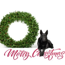 Dakota Red Pine Commercial Artificial Christmas Wreath - 5-Foot, Unlit -Christmas Decoration Store northlight z99437 cxpic 2 63698.1677542201