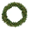 Pre-Lit Dakota Red Pine Commercial Artificial Christmas Wreath - 60-Inch, Warm White LED Lights 1 Pre-Lit Dakota Red Pine Commercial Artificial Christmas Wreath - 60-Inch, Warm White LED Lights -Christmas Decoration Store northlight z99439 39786.1667530688
