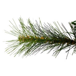 Canyon Pine Mixed Artificial Christmas Wreath, 36-Inch, Unlit -Christmas Decoration Store northlightgb ywc724 gr 2 03867.1683644381