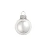 4ct Shiny Silver Glass Ball Christmas Ornaments 4.75" (120mm) 1 4ct Shiny Silver Glass Ball Christmas Ornaments 4.75" (120mm) -Christmas Decoration Store oaq7umzgkusssz2swcflwkgvjvkxafah 98807.1667663623