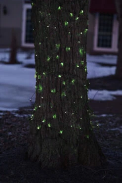 2' X 8' Green Mini Net Style Tree Trunk Wrap Christmas Lights - Brown Wire -Christmas Decoration Store otl6zebqvm9pyyglmvq3ngp25i2gehoc 35 2 56823.1667659139