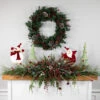 Mixed Eden Pine Artificial Christmas Wreath, 30-Inch, Unlit 2 Mixed Eden Pine Artificial Christmas Wreath, 30-Inch, Unlit -Christmas Decoration Store p1ezur6pltrqjtyg1ks8jj4rg6dkkdgp 69654.1667520680