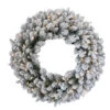 24" Pre-Lit LED Snowy Iceland Fir Artificial Christmas Wreath - Warm White Lights -Christmas Decoration Store peil2 300 24wb1 01 63956.1667574287