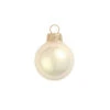 4ct Pearl Champagne Gold Glass Ball Christmas Ornaments 4.75" (120mm) 2 4ct Pearl Champagne Gold Glass Ball Christmas Ornaments 4.75" (120mm) -Christmas Decoration Store pqpxlffw27so6naps2nnxdsk72kvjcc4 20348.1667684588