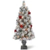 4’ Pre-Lit Snowy Bristle Pine Entrance Tree With Clear Lights In Silver Pot -Christmas Decoration Store snp7 308 40 54043.1667488127