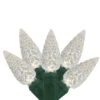 35 White LED C6 Mini Christmas Lights - 16.7 Ft Green Wire 1 35 White LED C6 Mini Christmas Lights - 16.7 Ft Green Wire -Christmas Decoration Store uq2zcvjqvuwg73nrmevhxctynnwmfoat 88630.1667586203